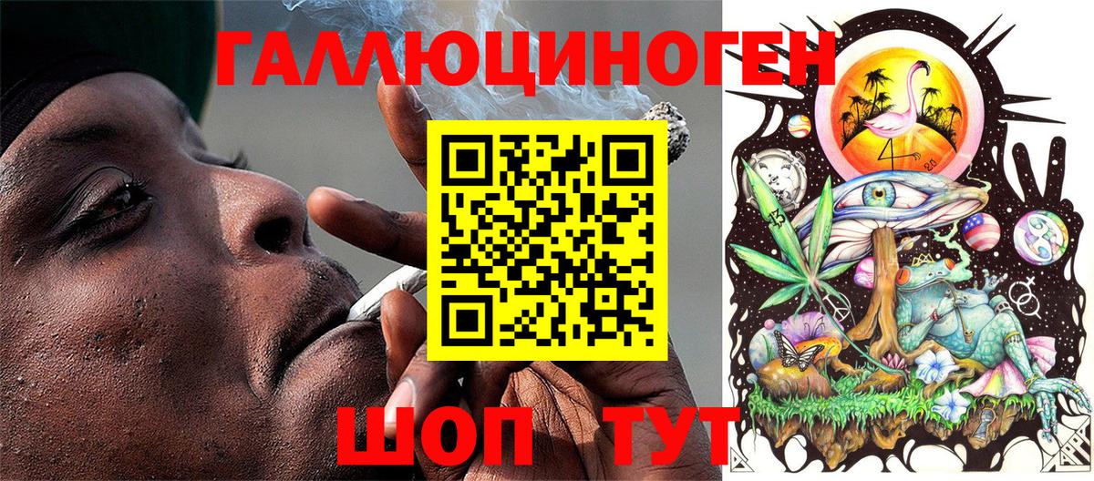 Галлюциногенные грибы Psilocybine cubensis Реутов